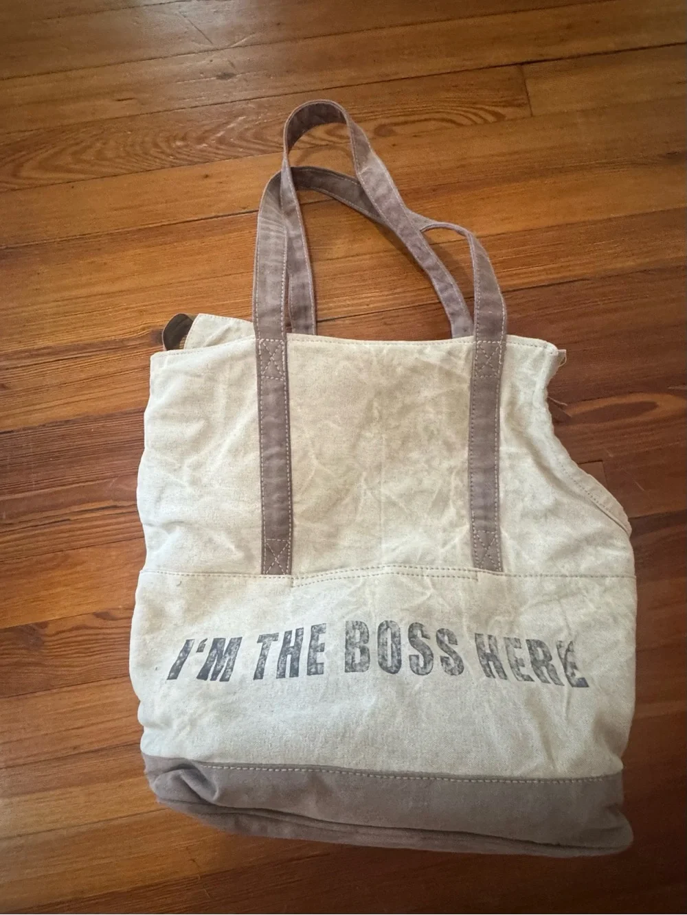 Pet Carrier Canvas Tote Bag with 'I'M THE BOSS HERE' Print - Beige/Brown